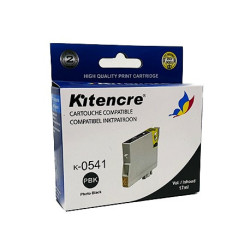 Cartouche d'encre Noire Photo T0541