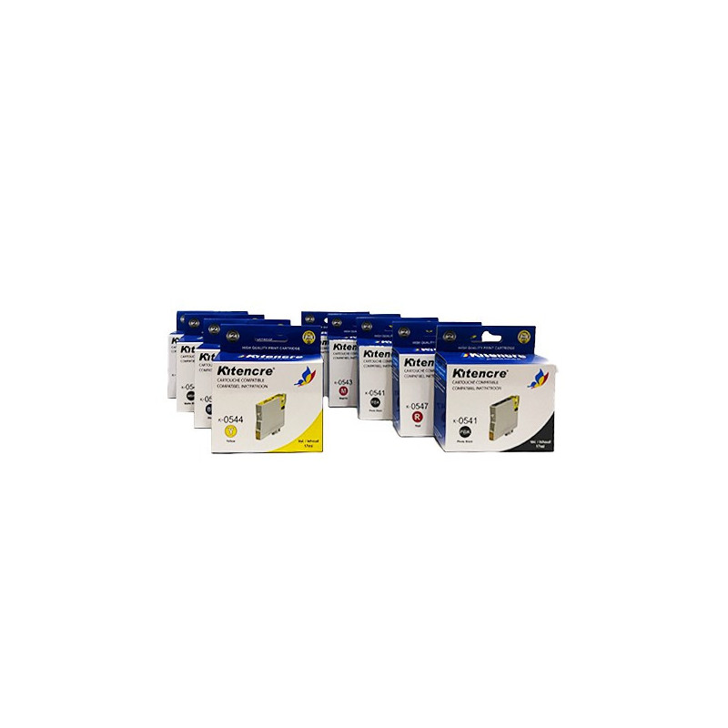 Lot Cartouches R800 - 8 + 1 Cartouche d'encre Gratuite