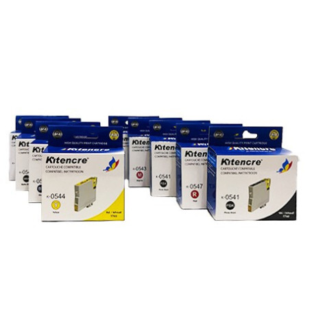 Lot Cartouches R800 - 8 + 1 Cartouche d'encre Gratuite