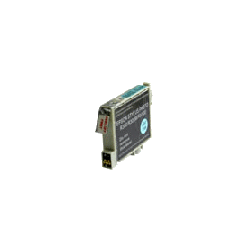 Cartouche d'encre Cyan Photo T0595