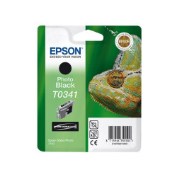 Cartouche d'encre Epson T0341 Photo Black